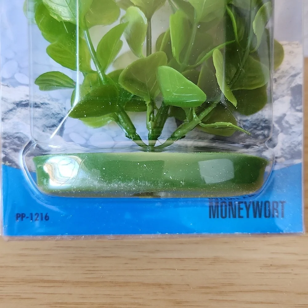 Marina Aquascaper Moneywort, 12-Inch